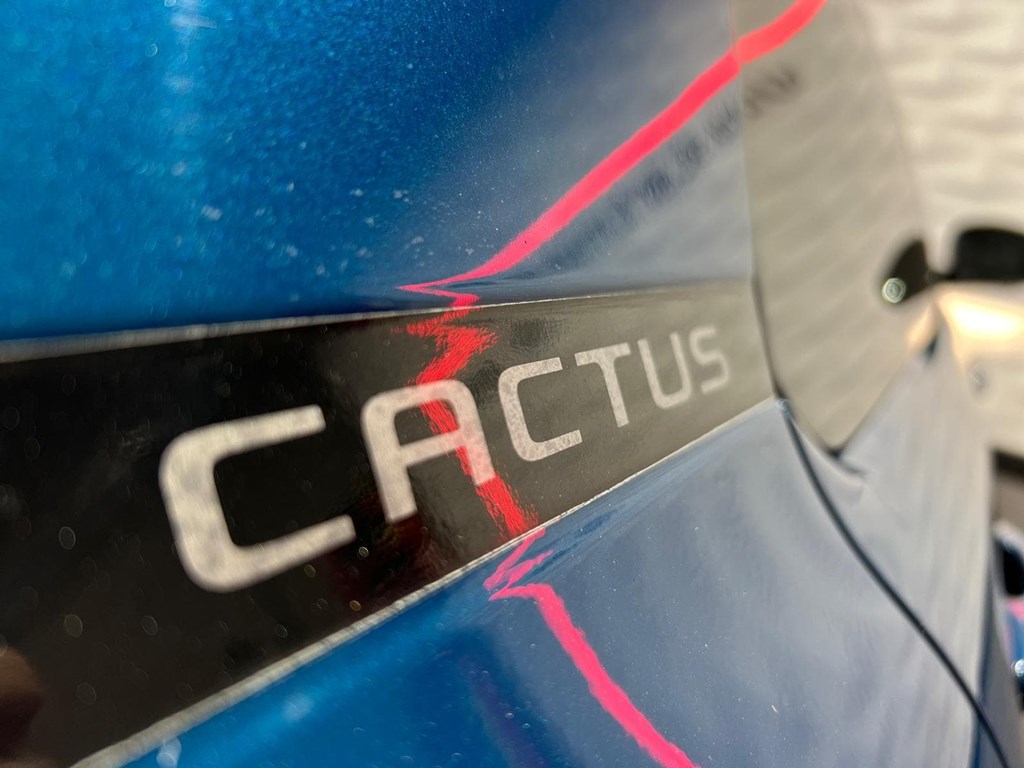 Foto 5 CITROEN C4 CACTUS BLUEHDI 100