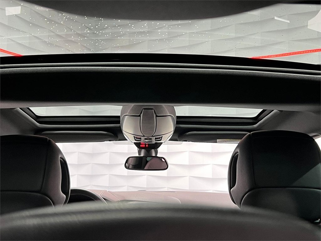 Foto 7 CITROEN DS5 SPORT 2.0 163CV HIBRIDO 