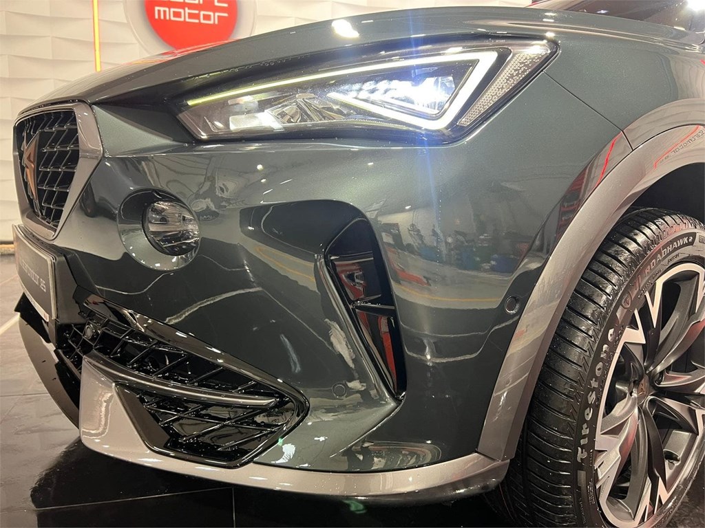 Foto 4 CUPRA FORMENTOR 2.0 TDI 150CV 