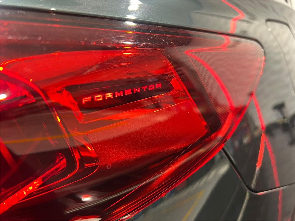 Foto 8 CUPRA FORMENTOR 2.0 TDI 150CV 