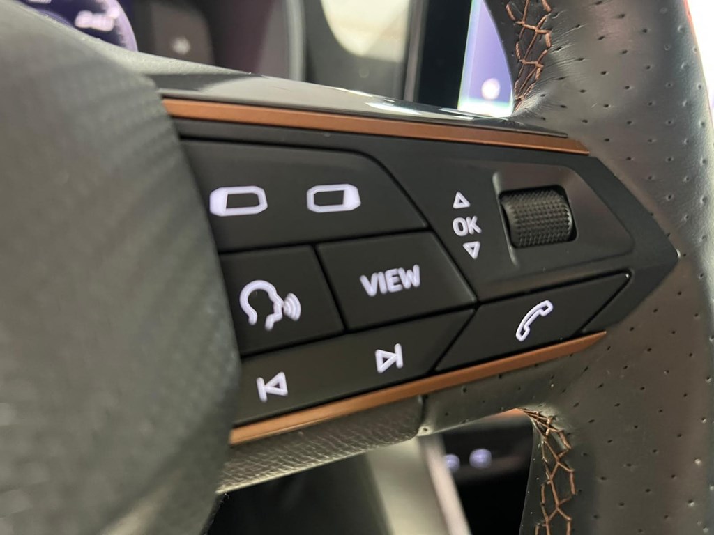 Foto 12 CUPRA FORMENTOR 2.0 TDI 150CV 